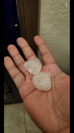 two large hail pellets in someone's hand